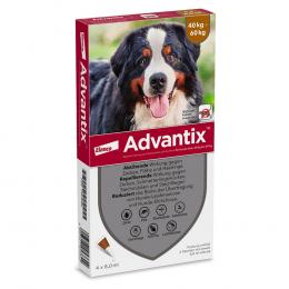 ADVANTIX Spot-on Lsg.z.Auftr.a.d.H.f.Hund 40-60 kg 4 X 6.0 ml Lösung