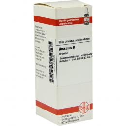 AESCULUS Urtinktur 20 ml Dilution