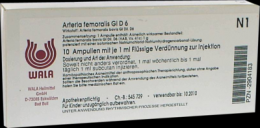 ARTERIA FEMORALIS GL D 6 Ampullen 10X1 ml