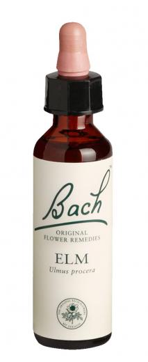 Bach-Blüte Elm 20 ml Tropfen