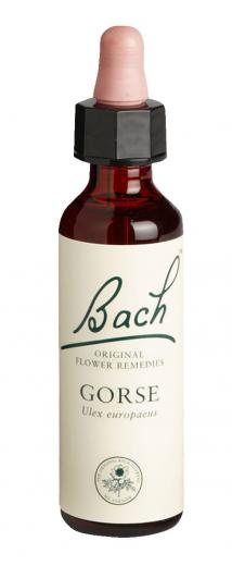 Ein aktuelles Angebot für Bach-Blüte Gorse 20 ml Tropfen Bachblüten - jetzt kaufen, Marke Nelsons GmbH.