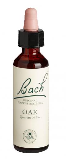 Bach-Blüte Oak 20 ml Tropfen