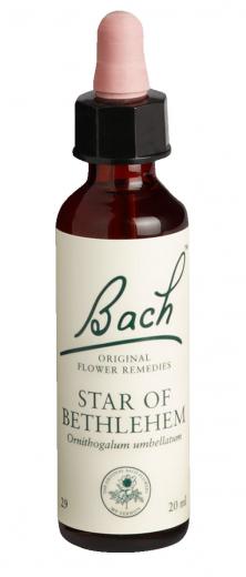 Ein aktuelles Angebot für Bach-Blüte Star of Bethlehem 20 ml Tropfen Bachblüten - jetzt kaufen, Marke Nelsons GmbH.