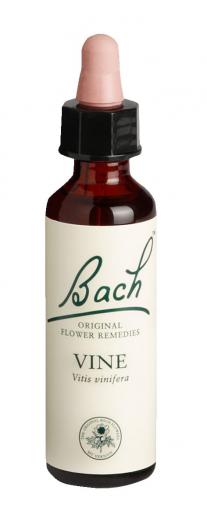 Bach-Blüte Vine 20 ml Tropfen