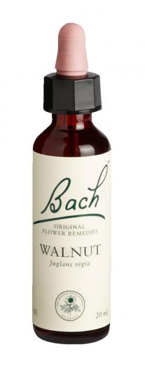 Bach-Blüte Walnut 20 ml Tropfen