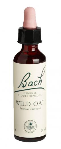 Bach-Blüte Wild Oat 20 ml Tropfen
