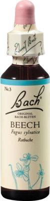 BACHBLTEN Beech Tropfen 20 ml