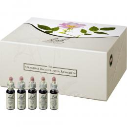 Ein aktuelles Angebot für BACHBLÜTEN 10 ml Set Tropfen 400 ml Tropfen Bachblüten - jetzt kaufen, Marke Nelsons GmbH.