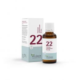 BIOCHEMIE Pflüger 22 Calcium carbonicum D 6 Tropf. 30 ml Tropfen