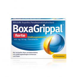Ein aktuelles Angebot für BOXAGRIPPAL forte Erkältungstab. 400 mg/60 mg FTA 12 St Filmtabletten Grippemittel - jetzt kaufen, Marke Angelini Pharma Deutschland GmbH.