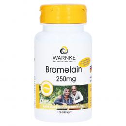 Ein aktuelles Angebot für BROMELAIN 250 mg magensaftresistente Kapseln 100 St Kapseln magensaftresistent Nahrungsergänzungsmittel - jetzt kaufen, Marke Warnke Vitalstoffe GmbH.
