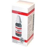 BRYONIA D 2 Dilution 50 ml