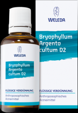 BRYOPHYLLUM ARGENTO cultum D 2 Dilution 50 ml