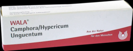 CAMPHORA/HYPERICUM Unguentum 30 g