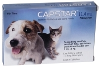 CAPSTAR 11,4 mg Tabletten f.Katzen/kleine Hunde 6 St