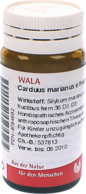 CARDUUS MARIANUS E fructibus D 3 Globuli 20 g