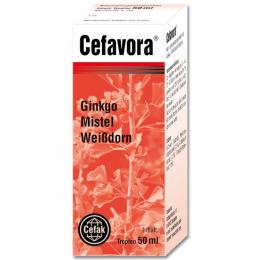 Cefavora Tropfen zum Einnehmen 50 ml Tropfen zum Einnehmen