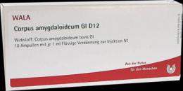 CORPUS AMYGDALOIDEUM GL D 12 Ampullen 10X1 ml