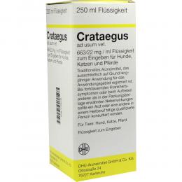 Ein aktuelles Angebot für Crataegus ad usum vet 250 ml Dilution Tierarzneimittel - jetzt kaufen, Marke DHU-Arzneimittel GmbH & Co. KG.