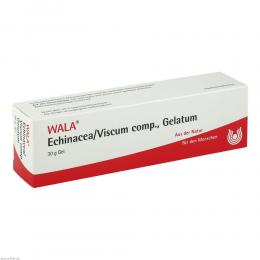 Ein aktuelles Angebot für ECHINACEA/VISCUM comp.Gelatum 30 g Gel Homöopathische Komplexmittel - jetzt kaufen, Marke WALA Heilmittel GmbH.