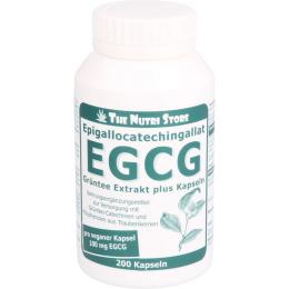 EGCG 100 mg Grüntee Extrakt plus Kapseln 200 St.