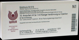 EPIPHYSIS GL D 15 Ampullen 10X1 ml
