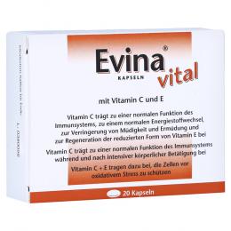 Ein aktuelles Angebot für EVINA vital Kapseln 20 St Kapseln Multivitamine & Mineralstoffe - jetzt kaufen, Marke Rodisma-Med Pharma GmbH.
