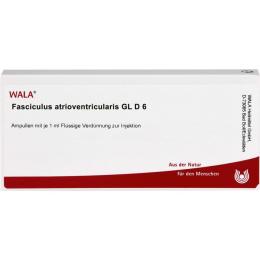 FASCICULUS atrioventricularis GL D 6 Ampullen 10 ml