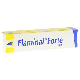 FLAMINAL Forte Enzym Alginogel 40 g Gel