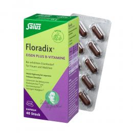 FLORADIX Eisen plus B Vitamine Kapseln 40 St Kapseln