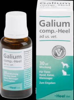 GALIUM COMP.-Heel ad us.vet.Tropfen 30 ml