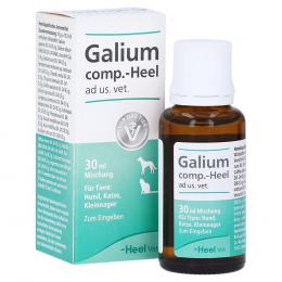 Ein aktuelles Angebot für GALIUM COMP.-Heel ad us.vet.Tropfen 30 ml Tropfen Tierarzneimittel - jetzt kaufen, Marke Biologische Heilmittel Heel GmbH.