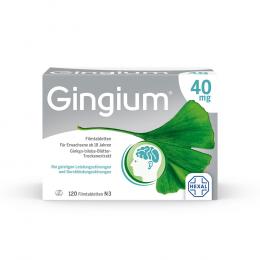Gingium 40 mg Filmtabletten 120 St Filmtabletten