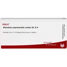 GLANDULA SUPRARENALIS cortex GL D 4 Ampullen 10 ml
