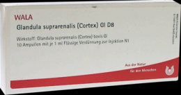 GLANDULA SUPRARENALIS cortex GL D 8 Ampullen 10X1 ml