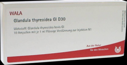 GLANDULA THYREOIDEA GL D 30 Ampullen 10X1 ml