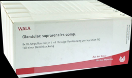 GLANDULAE SUPRARENALES comp.Ampullen 50X1 ml