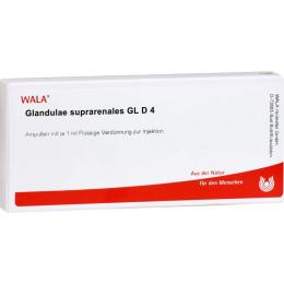 GLANDULAE SUPRARENALES GL D 4 Ampullen 10 ml