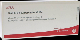 GLANDULAE SUPRARENALES GL D 4 Ampullen 10X1 ml