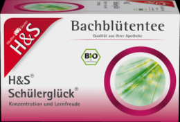 H&S Bachblten Schlerglck-Tee Filterbeutel 20X3.0 g