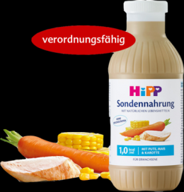 HIPP Sondennahrung Pute Mais & Karotte Kunstst.Fl. 500 ml