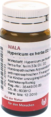HYPERICUM EX Herba D 2 Globuli 20 g
