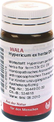 HYPERICUM EX Herba D 6 Globuli 20 g