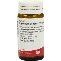 HYPERICUM EX Herba D 6 Globuli 20 g Globuli