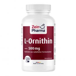 Ein aktuelles Angebot für L-ORNITHIN KAPSELN 120 St Kapseln Nahrungsergänzungsmittel - jetzt kaufen, Marke ZeinPharma Germany GmbH.