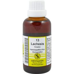LACHESIS KOMPLEX Nr.13 Dilution 50 ml