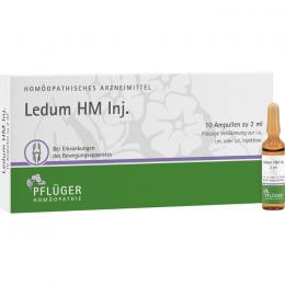 LEDUM HM Injekt Ampullen 10 St.