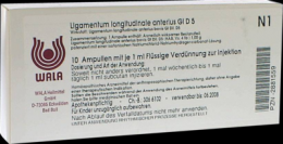 LIGAMENTUM LONGITUDINALE anterius GL D 5 Ampullen 10X1 ml