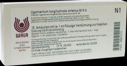 LIGAMENTUM LONGITUDINALE anterius GL D 6 Ampullen 10X1 ml