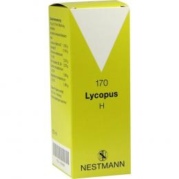 Ein aktuelles Angebot für Lycopus H Nr. 170 Tropfen 100 ml Tropfen Naturheilmittel - jetzt kaufen, Marke Nestmann Pharma GmbH.